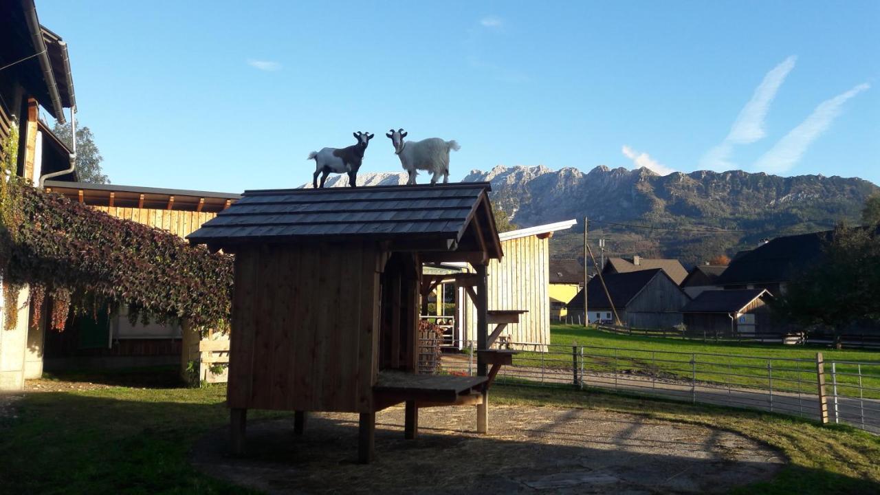Apartamento Schusterbauernhof Bad Mitterndorf Exterior foto