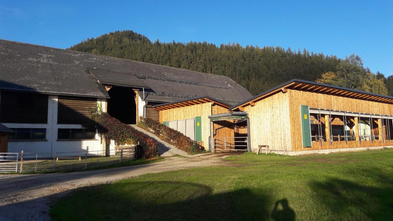 Apartamento Schusterbauernhof Bad Mitterndorf Exterior foto